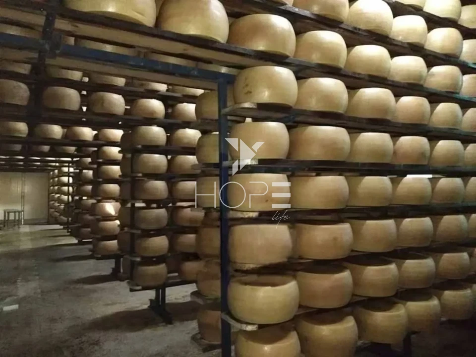 Imagens do imóveis fazenda leiteira à venda com 127 alqueires - laticínio próprio - porteira fechada - Pouso Alegre MG