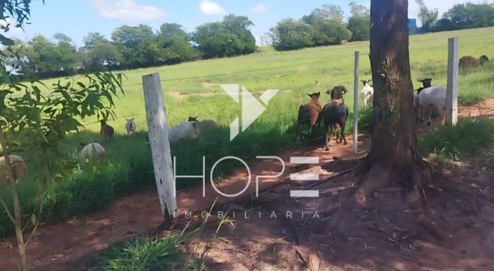 Imagens do imóveis Fazenda à venda 126 alqueires pecuária – região de Loanda – Paraná