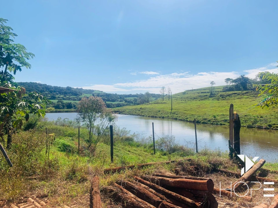 Imagens do imóveis Fazenda à Venda – 84 Alqueires – Sertanópolis/PR