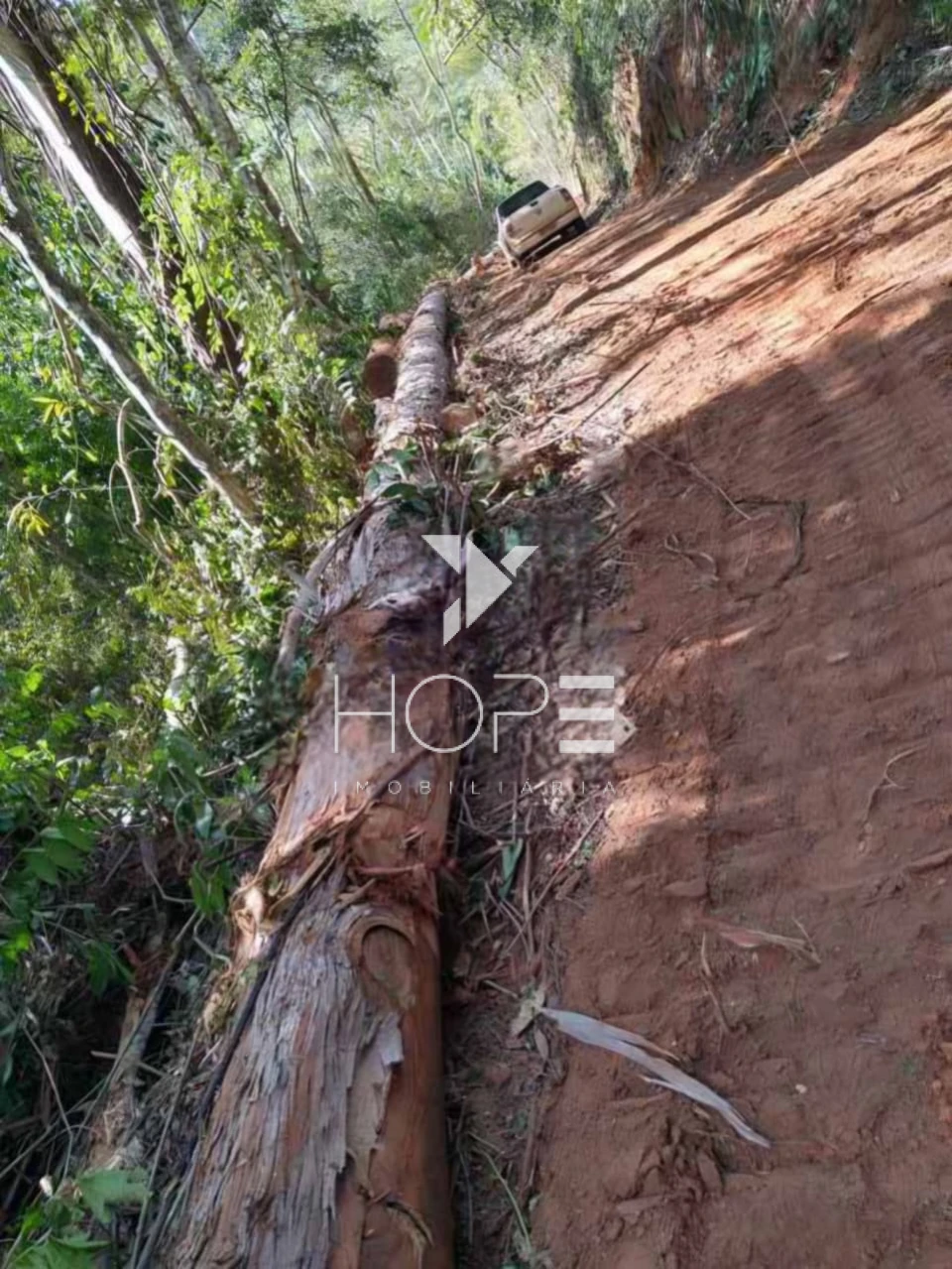 Imagens do imóveis Fazenda Produtiva à Venda - Santa Maria Madalena RJ - 456 Hectares - 146 Alqueires
