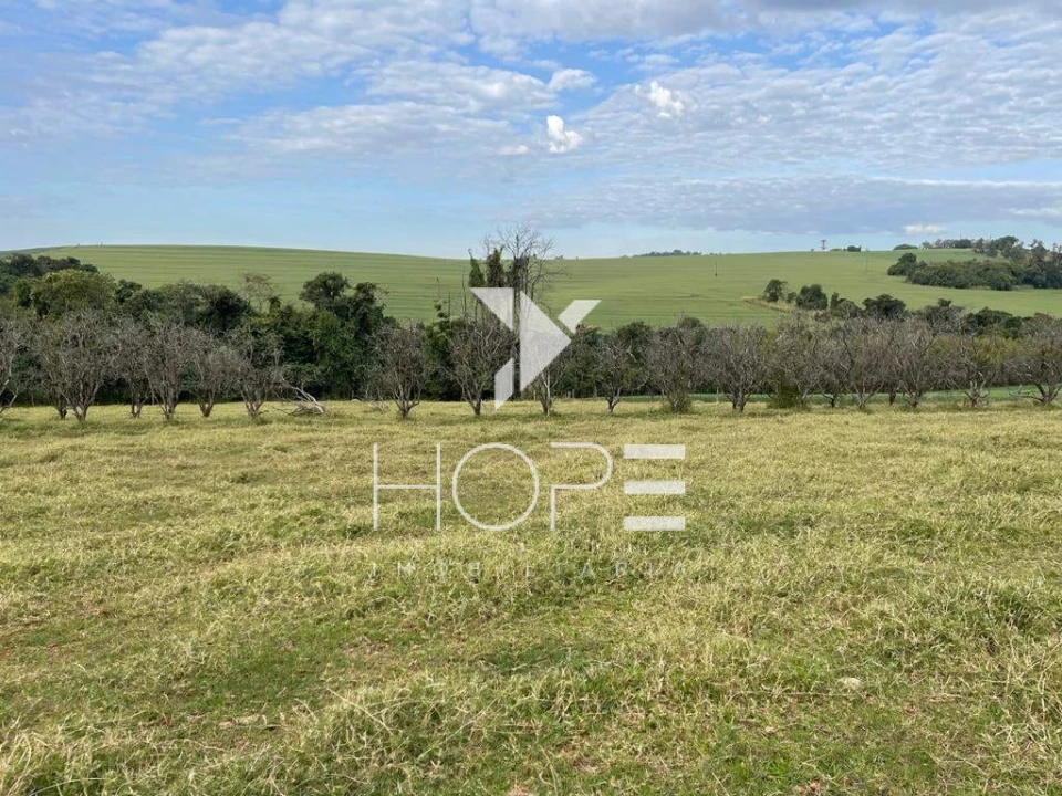 Imagens do imóveis Haras de Alto Padrão à Venda – 2 Alqueires – BR 369 – Rolândia PR