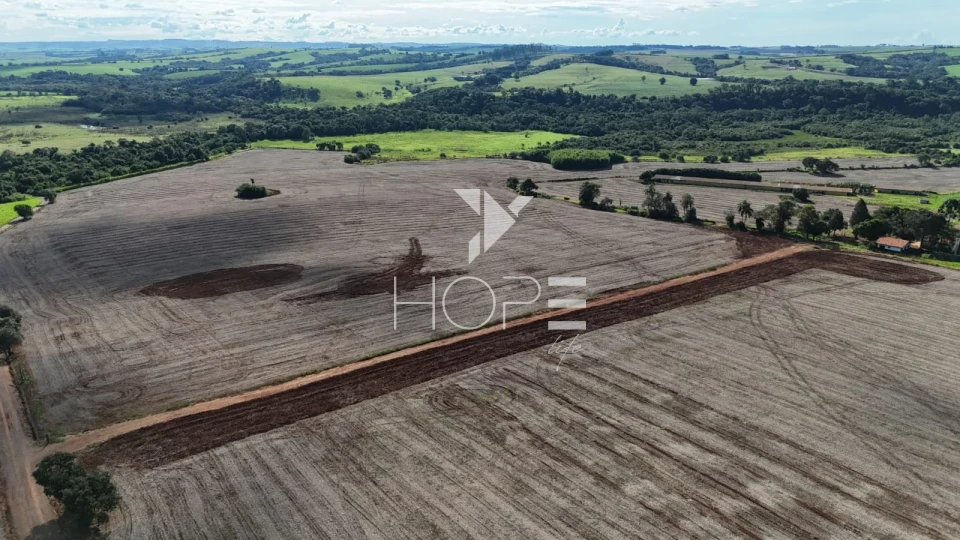 Imagens do imóveis Sítio à venda com 25 alqueires (61 hectares) - 15 alqueires em plantio - Itapetininga SP