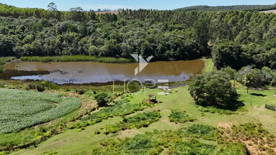 Imagens do imóveis Fazenda à venda com 75 alqueires (181.5 hectares) - agricultura e eucalipto - São Miguel Arcanjo SP