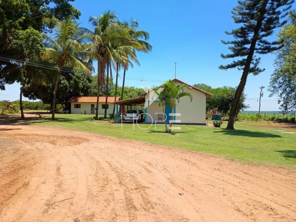 Imagens do imóveis Fazenda de laranja à venda com 77.5 alqueires - 77.150 pés - certificado para exportação - Região de Marília SP