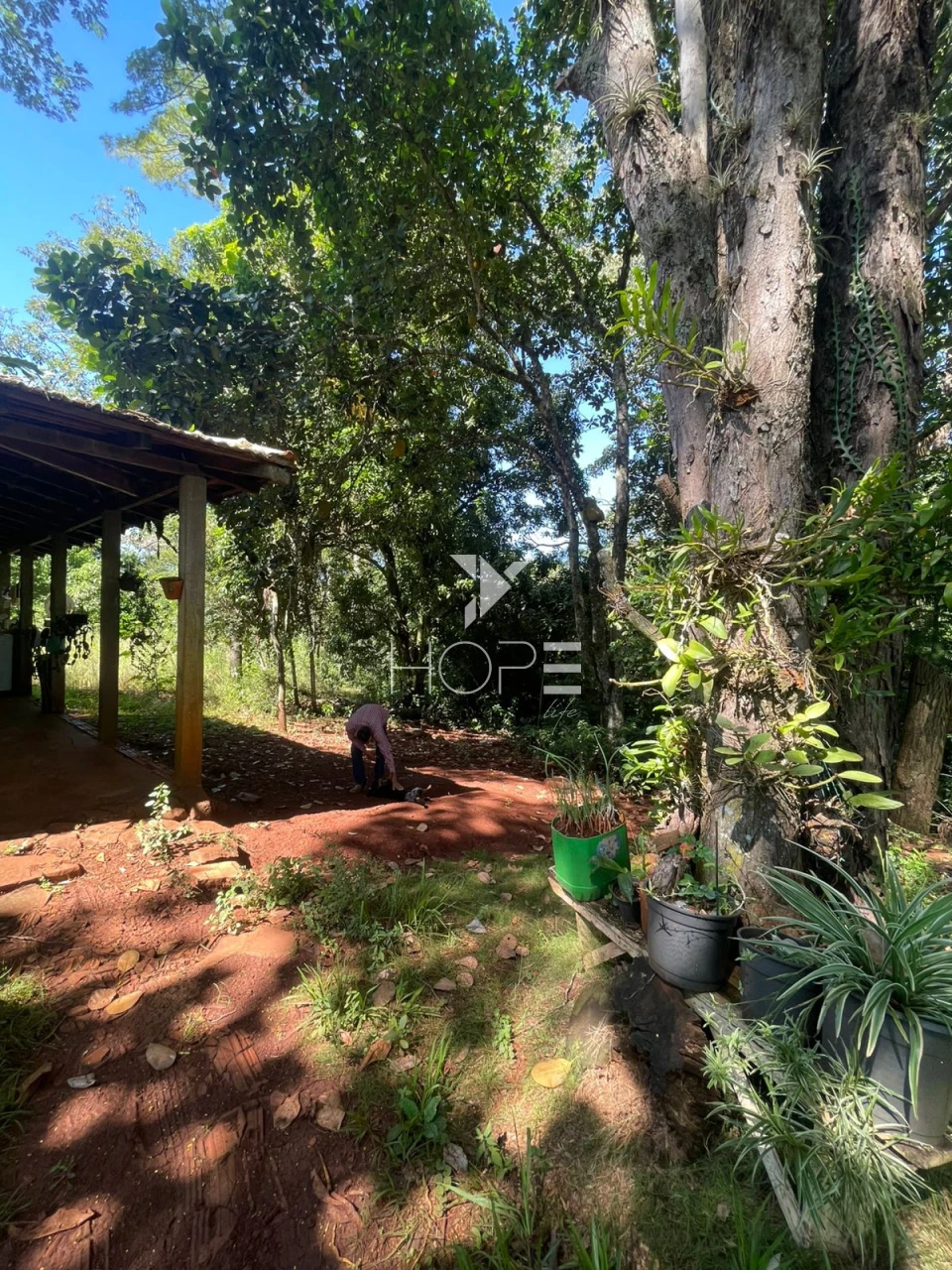 Imagens do imóveis Sítio à venda com 7.5 alqueires - Área para plantio - Jataizinho/PR