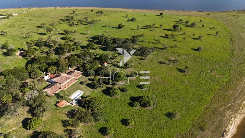 Imagens do imóveis Fazenda à venda com 148 alqueires - eucalipto e pastagem - margem para represa - Paranapanema SP