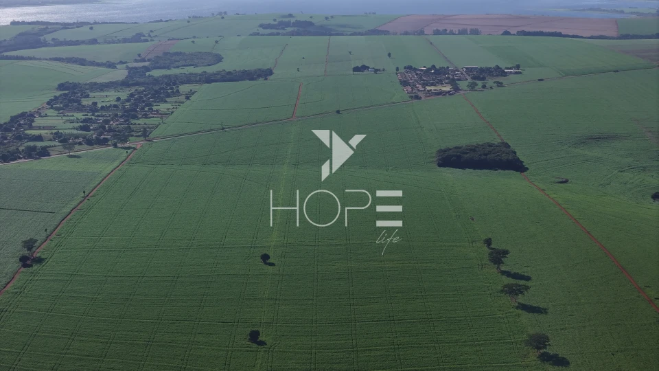 Imagens do imóveis Fazenda à venda com 68 alqueires - planta 63 - dupla aptidão - 2 casas de funcionário - Alvorada do Sul PR