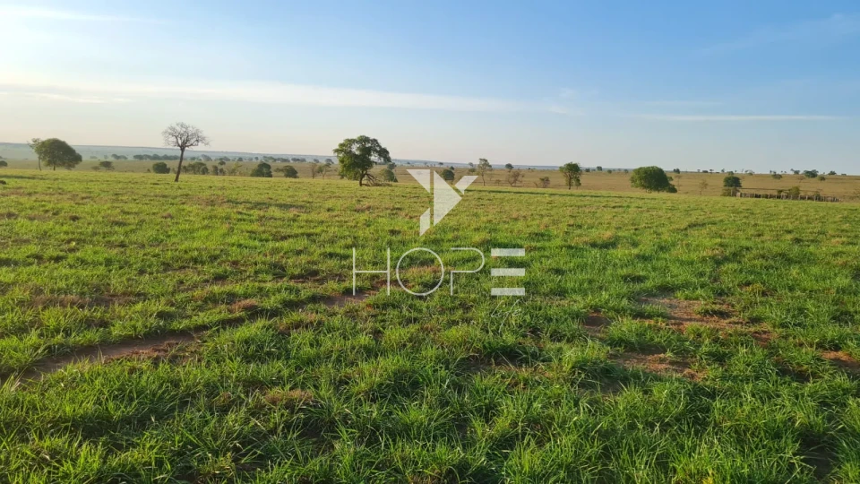 Imagens do imóveis Fazenda em dívida à venda com 322 alqueires - estrutura pecuária completa - Águas Claras MS