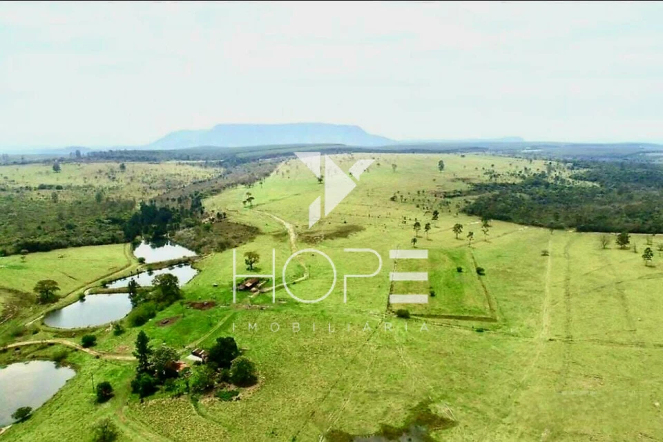 Fazenda à Venda na Região de Botucatu/SP – 294 Alqueires com Frente para a Rodovia Castelo Branco