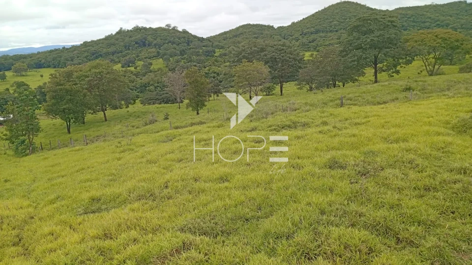 Imagens do imóveis Fazenda à venda com 260 alqueires - 201 formados - confinamento - apta para pivô - Mozarlândia GO