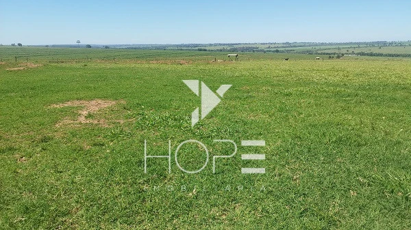 Imagens do imóveis Sítio à venda 13 alqueires pecuária benfeitorias completas – Porto São José – São Pedro do Paraná – próximo a Porto Rico