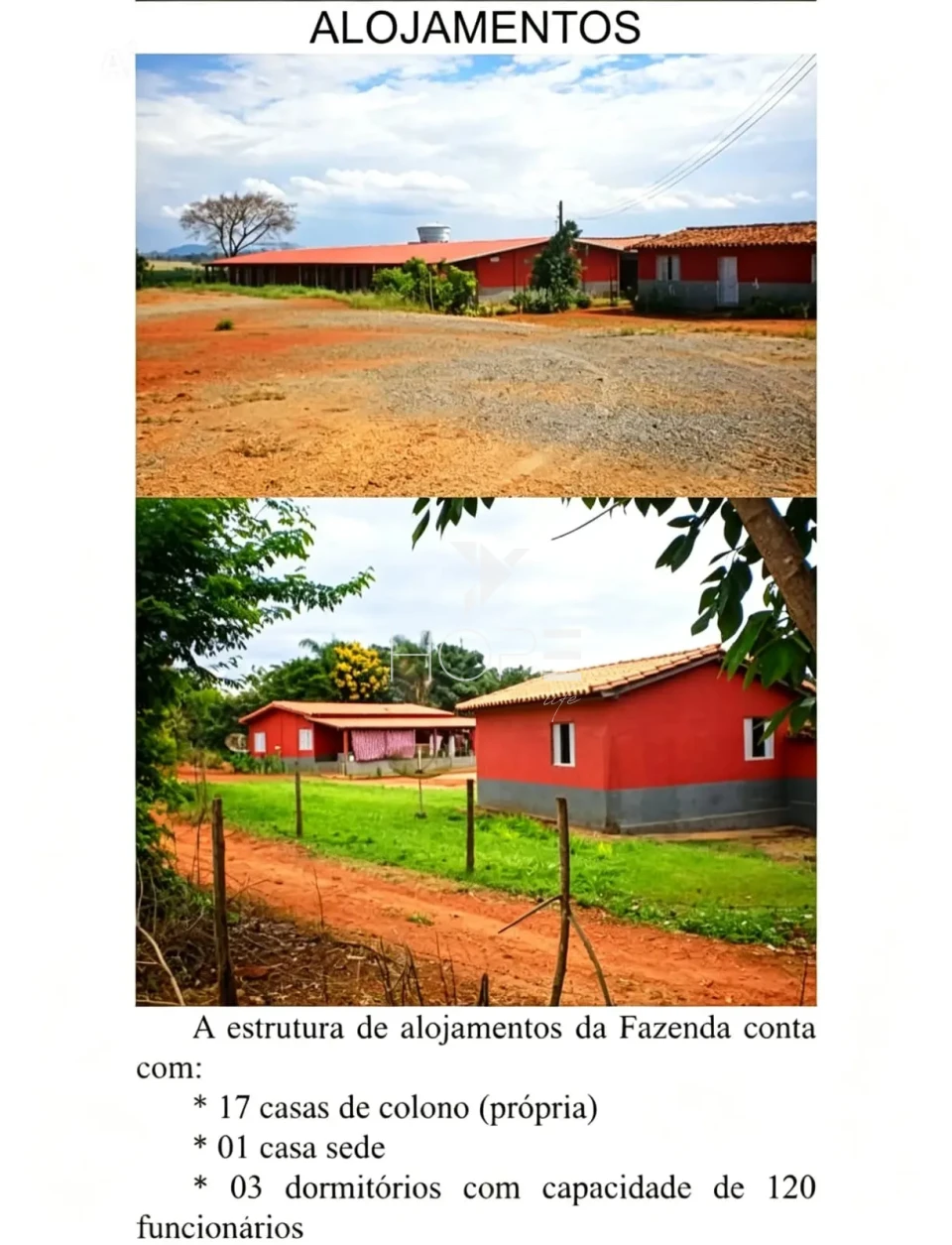Fazenda cafeeira à venda com 1.333 hectares - 900 hectares em café - alta produtividade - Minas Gerais