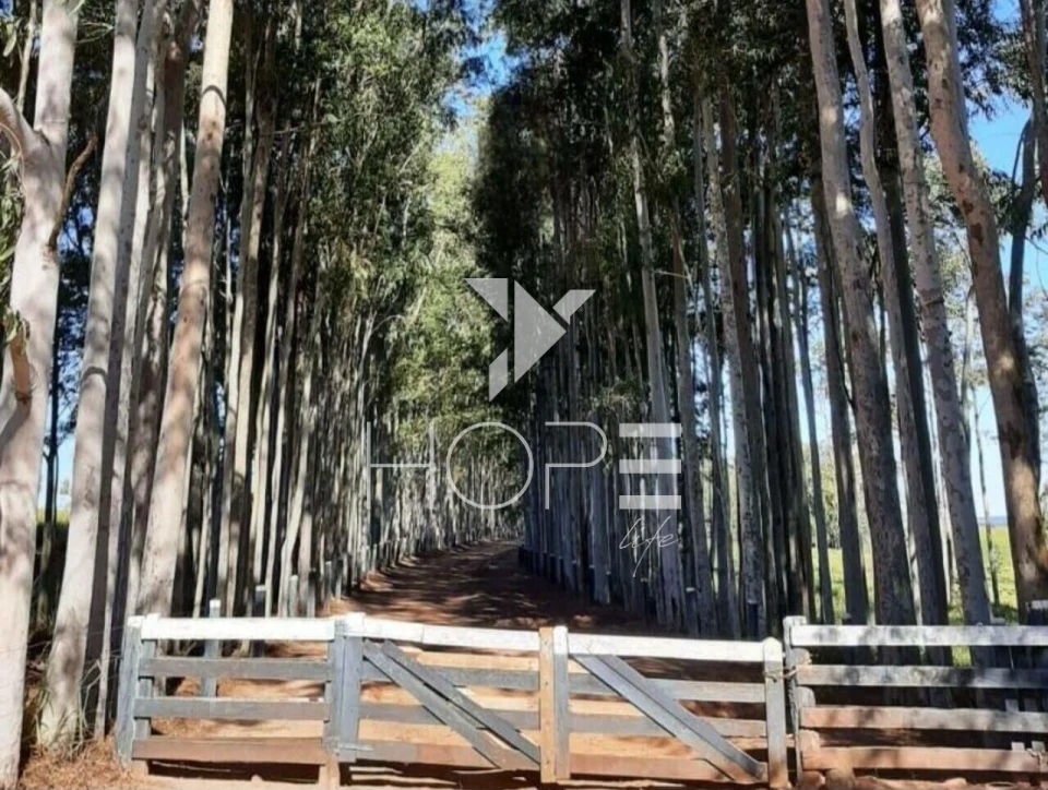 Imagens do imóveis Fazenda à venda 217 alqueires pecuária – Moreira Sales – Paraná