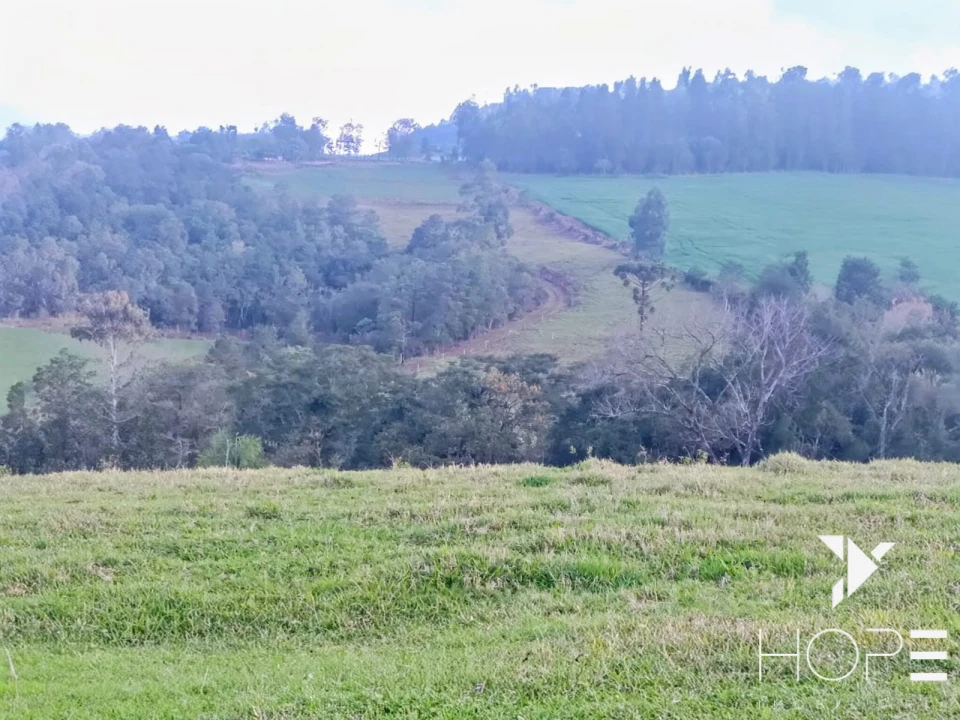 Imagens do imóveis Sítio à venda em Tamarana – Localização privilegiada na beira da estrada