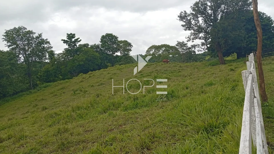 Imagens do imóveis Fazenda à venda com 260 alqueires - 201 formados - confinamento - apta para pivô - Mozarlândia GO