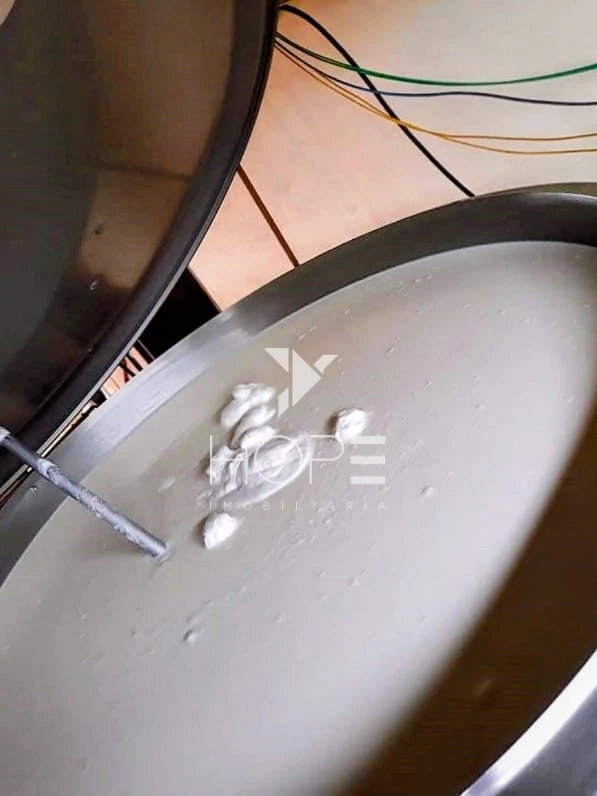 Imagens do imóveis Fazenda Leiteira Porteira Fechada à Venda – 78 Alqueires – Paranavaí/PR – Estrutura Completa + Usina Solar