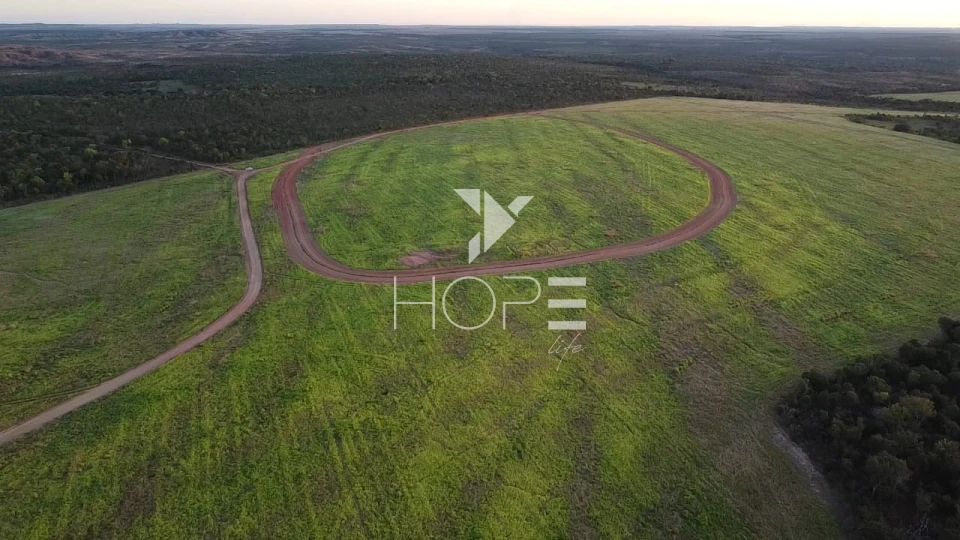 Imagens do imóveis Fazenda à venda 397 alqueires dupla aptidão com lavoura em formação – Tocantins – região de Palmas