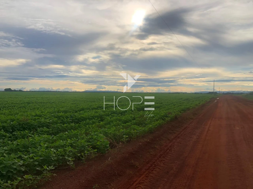 Imagens do imóveis Fazenda à venda 39.000 hectares dupla aptidão com armazém e pista de pouso – região de Confresa – Mato Grosso