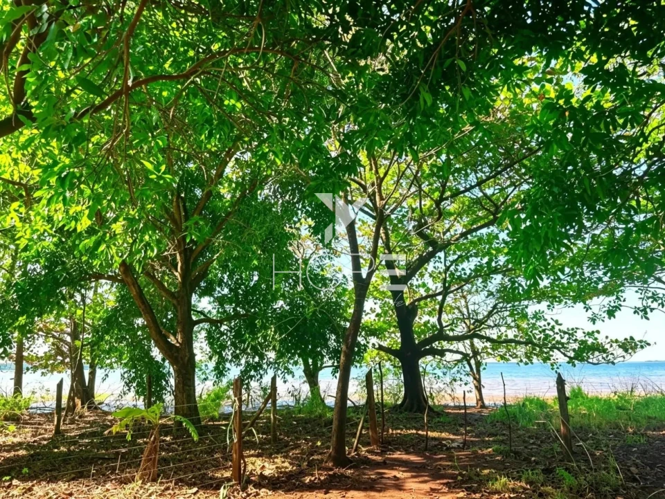 Imagens do imóveis Chácara molhada à venda - 3 quartos - 2 suítes - acesso à água - Alvorada do Sul PR