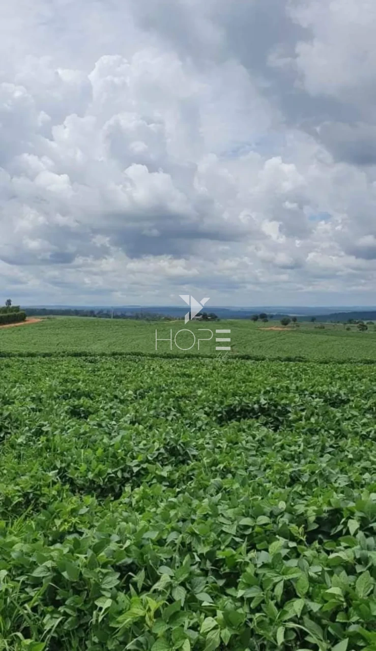 Imagens do imóveis Fazenda à Venda - Solo Misto – 174,24 Hectares – Bauru/SP