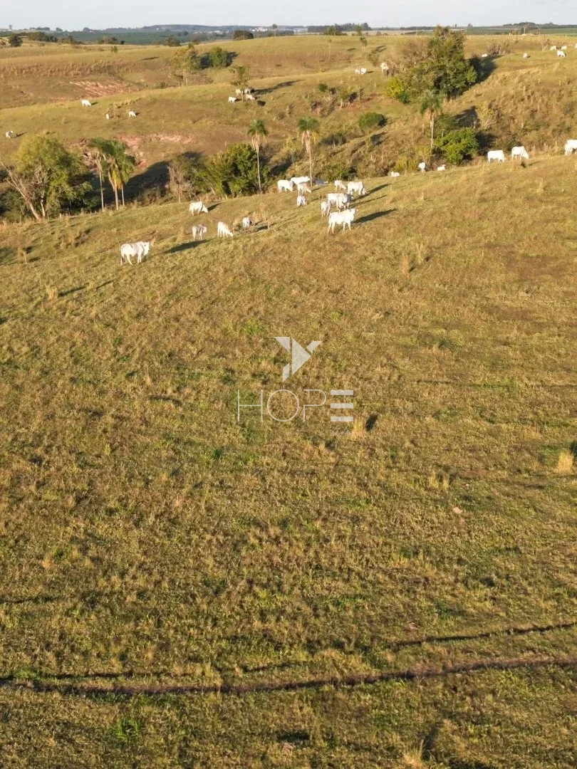Imagens do imóveis Fazenda à Venda na Região de Paranaparema – 96,8 Hectares – Itapetininga/SP