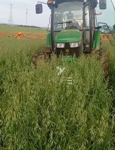 Imagens do imóveis Fazenda de Terra Roxa à Venda - 25km da Cidade – 130 Alqueires – Curiuva/PR