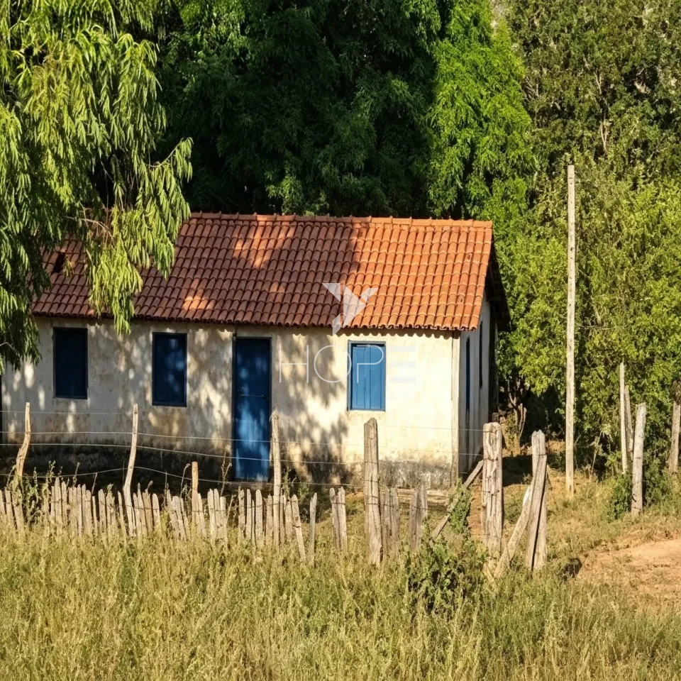 Imagens do imóveis Fazenda à Venda - Pecuária – 163 Hectares – Buenópolis/MG