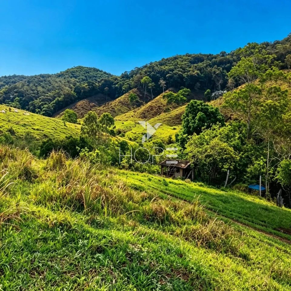 Imagens do imóveis Fazenda à Venda com Infraestrutura Completa – 294,30 Hectares – Carmésia/MG
