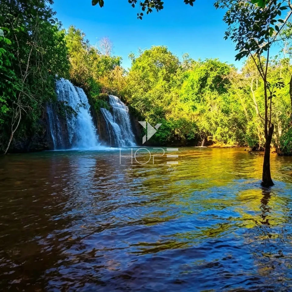 Imagens do imóveis Fazenda à Venda - Agricultura e Pecuária - Topografia Plana – 5.359 Hectares – Sonora – Sonora/MS