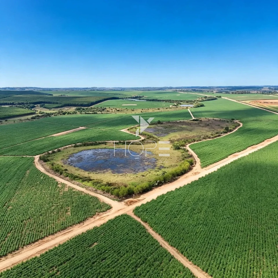 Imagens do imóveis Fazenda à Venda - Topografia Plana – Docuntação Regularizada -  237 Alqueires – Itu/SP