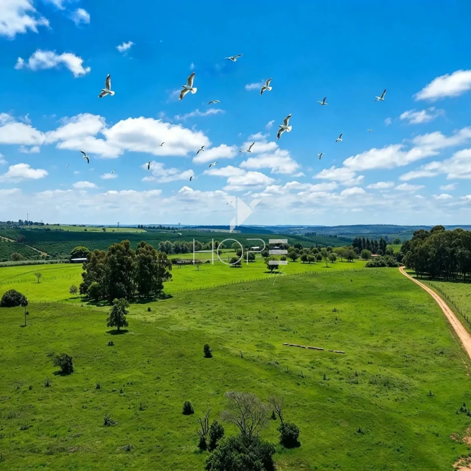 Imagens do imóveis Fazenda à Venda – 99,3 Hectares – Avaré/SP