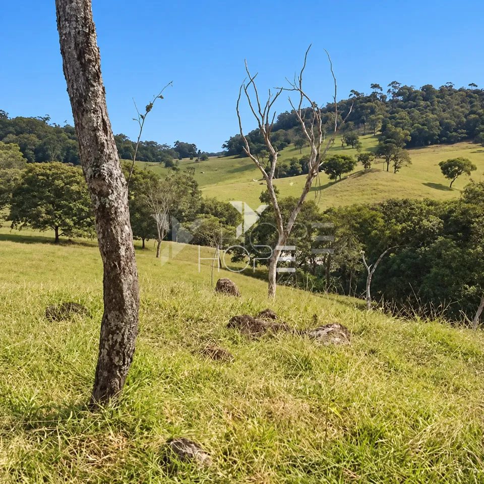 Imagens do imóveis Fazenda à Venda – Zona Rural – Rubiataba/GO