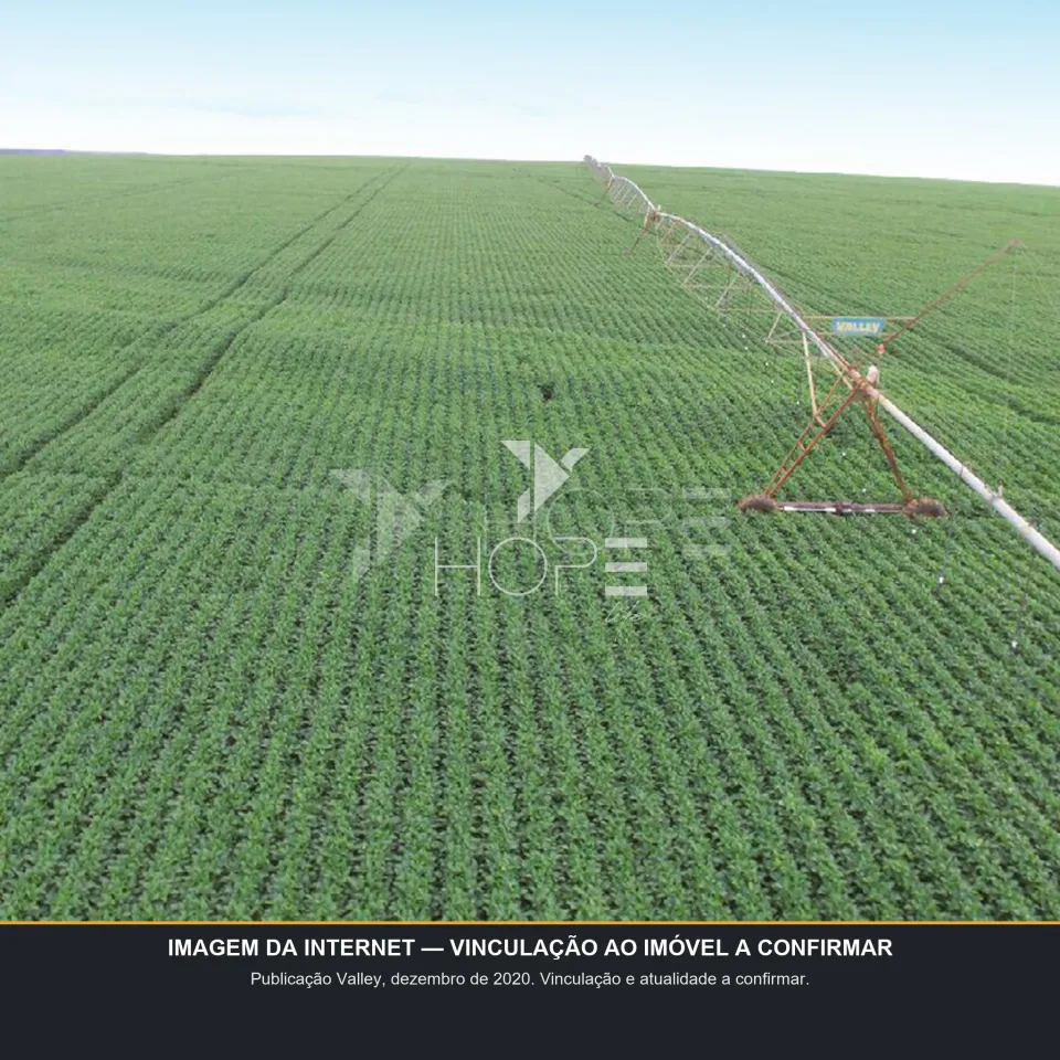 Imagens do imóveis Fazenda de Cafeicultura à Venda – 5.234,1462 Hectares – Cafeicultura Irrigada e Produção de Grãos – Unaí/MG