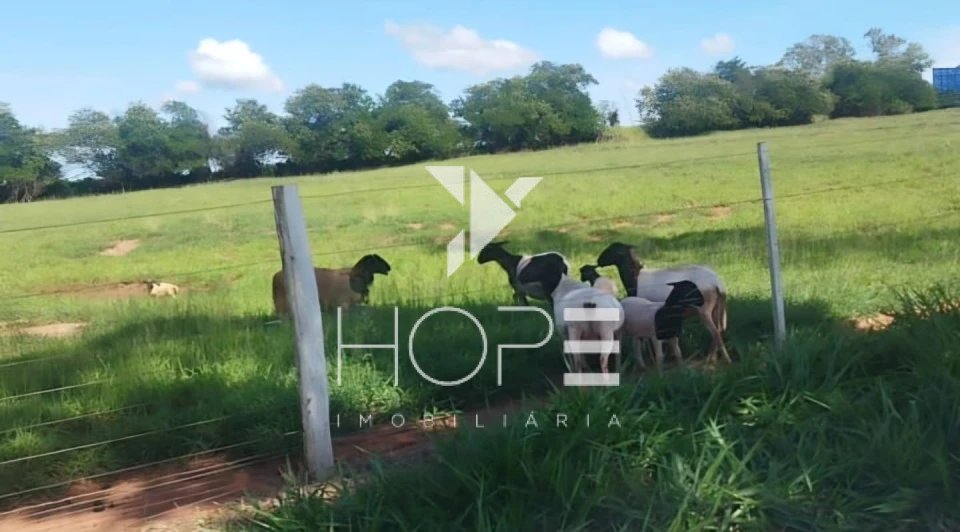 Imagens do imóveis Fazenda à venda 126 alqueires pecuária – região de Loanda – Paraná