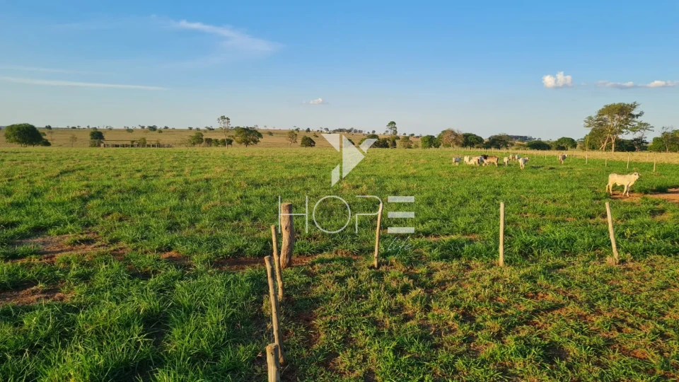Imagens do imóveis Fazenda em dívida à venda com 322 alqueires - estrutura pecuária completa - Águas Claras MS
