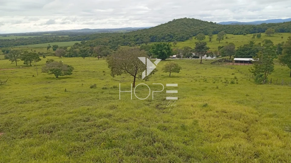 Imagens do imóveis Fazenda à venda com 260 alqueires - 201 formados - confinamento - apta para pivô - Mozarlândia GO