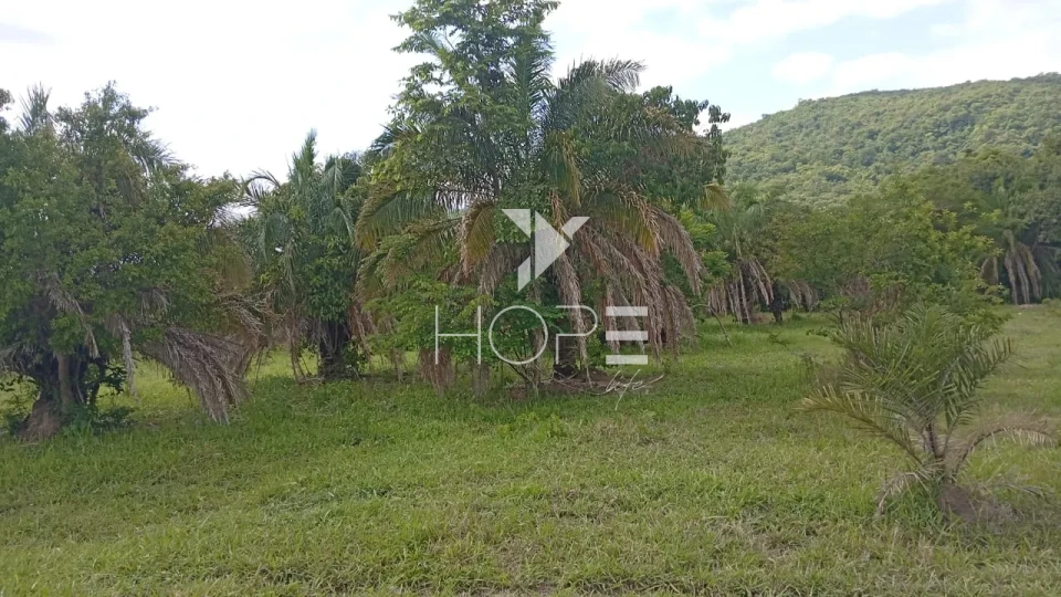 Imagens do imóveis Fazenda à venda com 72 alqueires - 55 em pasto - pronta - curral completo - região de Morro Agudo - Faina GO