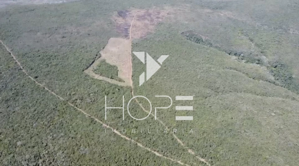 Imagens do imóveis Fazenda à venda 1.700 Hectares agricultura chapadão terra de primeira – Divisa Alegre – divisa BA/MG