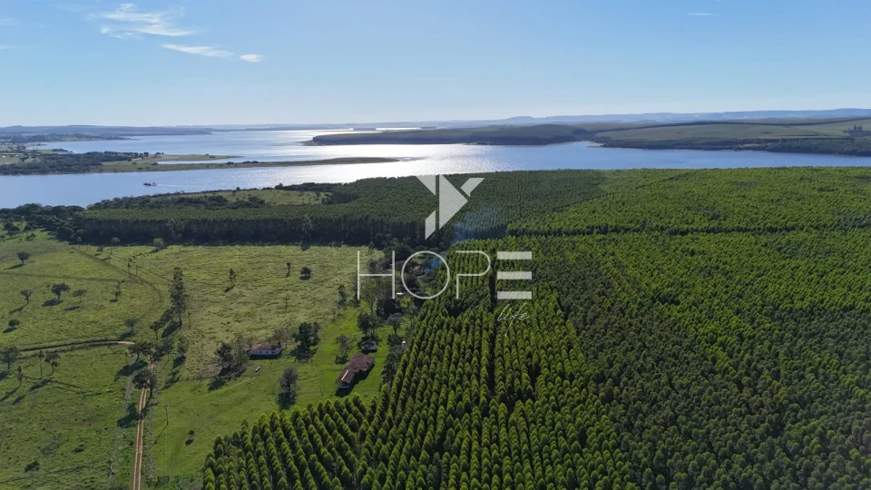 Imagens do imóveis Fazenda à venda com 148 alqueires - eucalipto e pastagem - margem para represa - Paranapanema SP