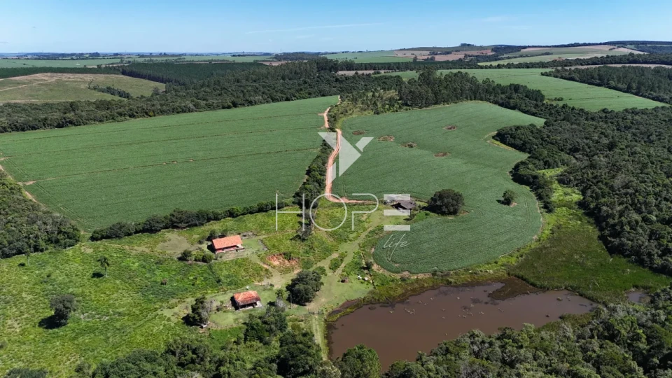 Imagens do imóveis Fazenda à venda com 75 alqueires (181.5 hectares) - agricultura e eucalipto - São Miguel Arcanjo SP