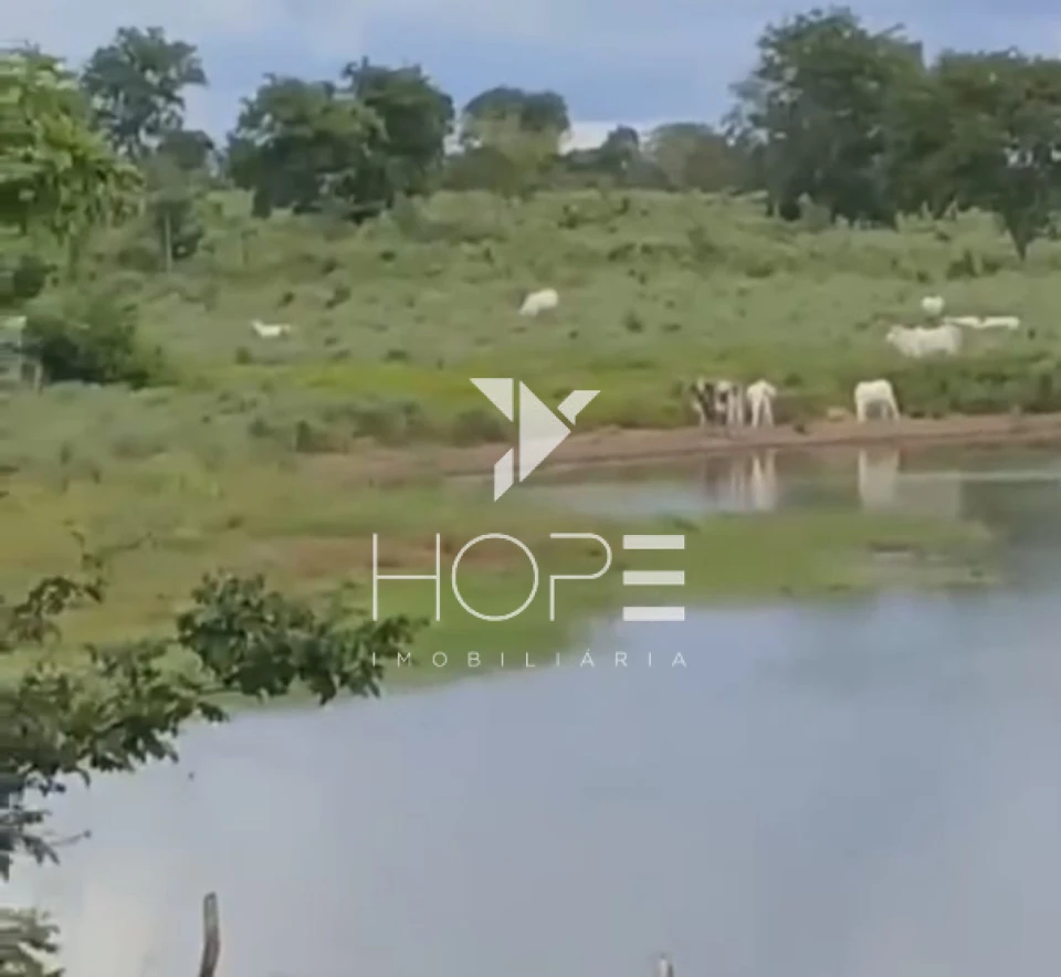 Imagens do imóveis Fazenda à venda 420 alqueires pecuária porteira fechada – municípios de Araguaçu e Porangatu – divisa Goiás / Tocantins