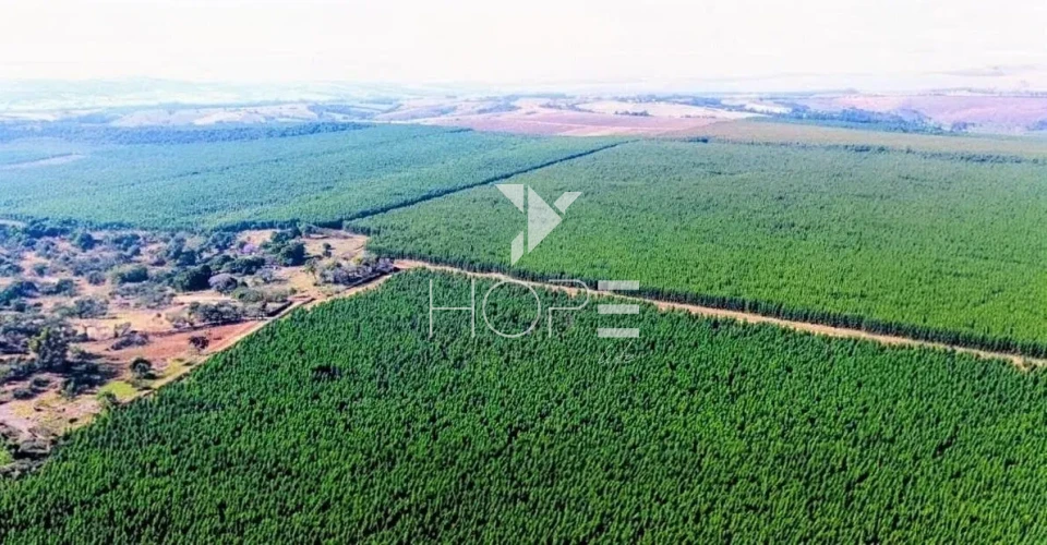 Imagens do imóveis Fazenda à venda com Eucalipto 321 alqueires - 777 hectares - arrendada Para Suzano - beira Rio Tietê - Itu SP