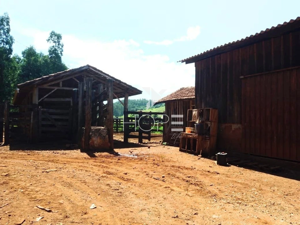 Fazenda à venda com 76 alqueires - pecuária com potencial agrícola - Guaravera - Londrina PR