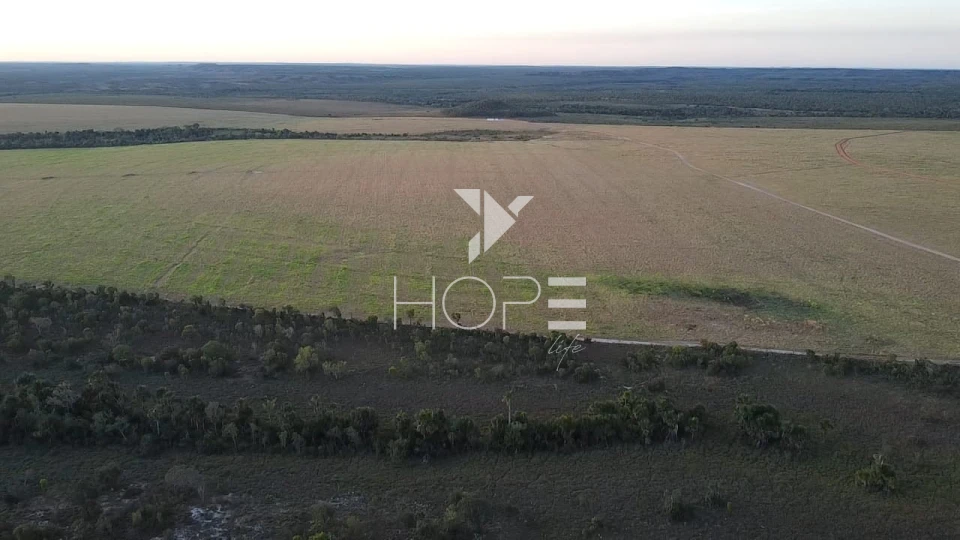 Imagens do imóveis Fazenda à venda 397 alqueires dupla aptidão com lavoura em formação – Tocantins – região de Palmas