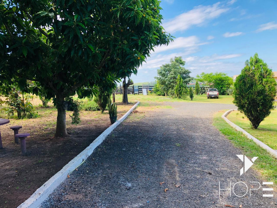 Imagens do imóveis Sítio à Venda com 6 Alqueires em Siqueira Campos – Norte Pioneiro do Paraná