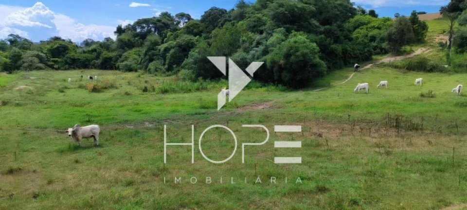 Fazenda de Alto Padrão à Venda – 56 Alqueires – Região de Sorocaba/SP