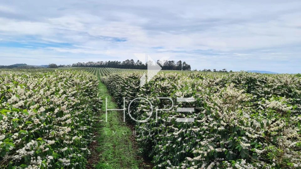 Imagens do imóveis fazenda cafeeira à venda 970 hectares produção de exportação – município de Capelinha – Minas Gerais