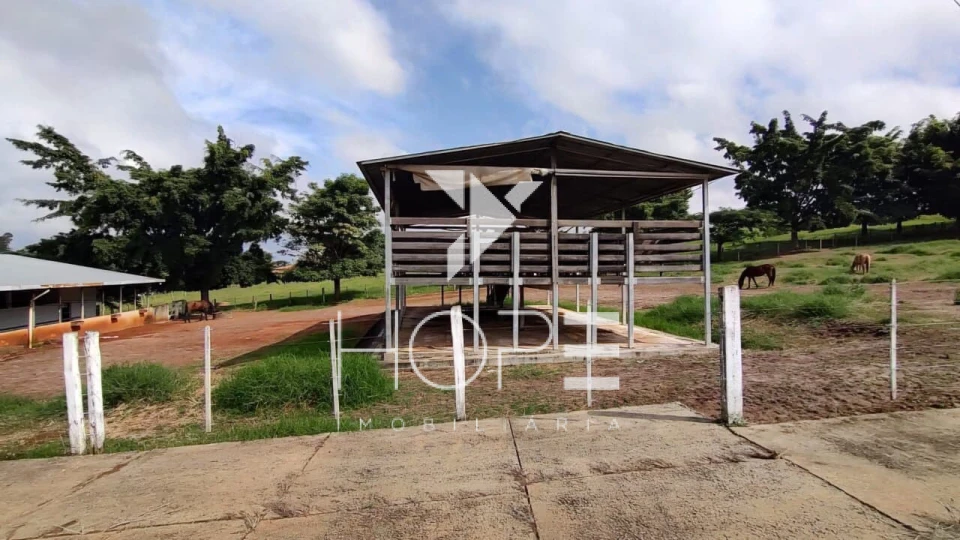 Fazenda à venda – 51 alqueires – Estrutura completa para pecuária leiteira – Angatuba/SP