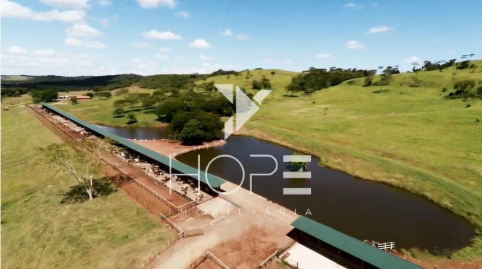 Fazenda à Venda – Região de Londrina/PR – 1.390 Alqueires – Ativo Agropecuário Multifuncional