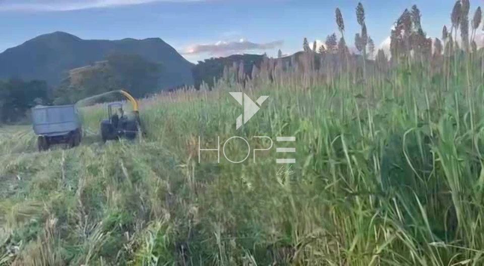 Imagens do imóveis Fazenda à venda 2.725 hectares pecuária porteira fechada – região de Monte Alegre de Goiás – Goiás